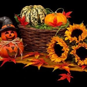 Meet your Posher, Deb